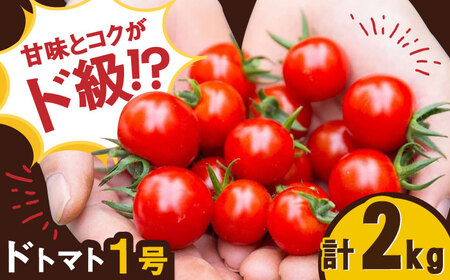 【先行予約】人気のドトマト1号 2kg（1kg×2箱） / トマト トマト トマト トマト トマト トマト トマト / 佐賀県 / 永尾産ち [41AAAC001]