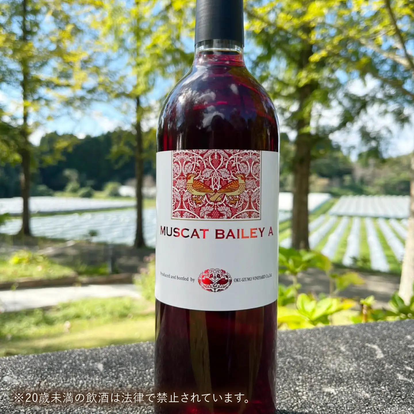 マスカット・ベーリーA 4本 750ml×4 赤ワイン 国産 島根県雲南市/有限会社奥出雲葡萄園[AICS128]