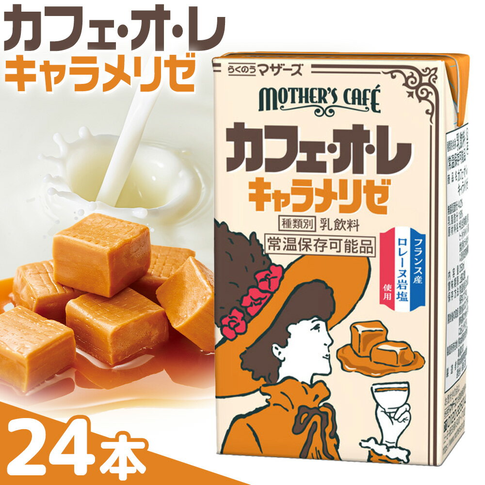 【ふるさと納税】常温保存可能 カフェオレ キャラメリゼ 250ml×24本 1ケース 合同会社たべたせいか《30日以内に出荷予定(土日祝除く)》熊本県 菊池市 コーヒー牛乳 カフェ・オ・レ キャラメル 乳飲料 乳性飲料 らくのうマザーズ ドリンク 飲み物 飲料 セット 紙パック