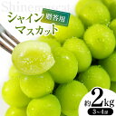 【ふるさと納税】贈答用 シャインマスカット 約2kg (3房～4房)│信州松本 果物 ぶどう シャインマスカット マスカット フルーツ ブドウ 長野県 松本市 贈答用