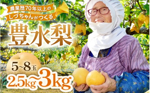 【先行予約】しづちゃんが作る豊水梨 5～8玉入（2.5～3kg）農業歴70年以上！ ※2026年9月上旬以降順次発送予定 [aw075-a007]