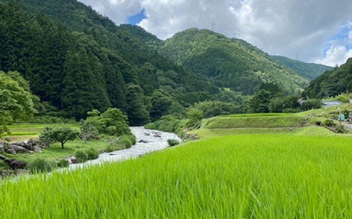味噌 合わせ味噌 いなか味噌 こだわり味噌 みそ 麹 国産 調味料 お取り寄せ 贈答 ギフト おすすめ 人気 岐阜県 恵那市