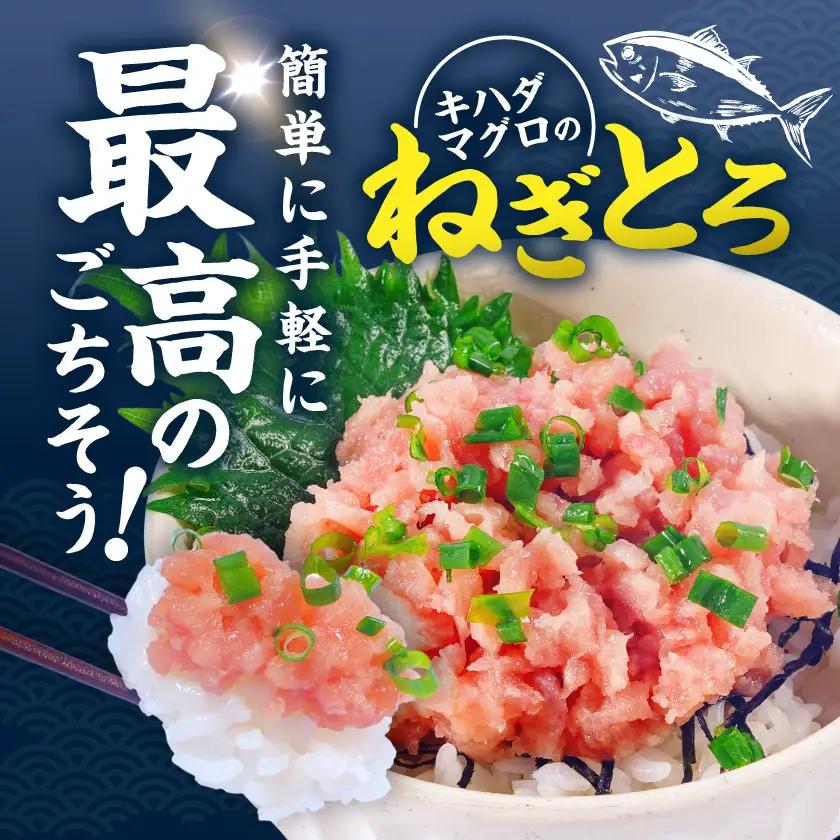 キハダマグロの極み！ねぎとろ60g×15パック〔17-M3-004-15〕_(都城市) ネギトロ丼 まぐろ 手巻き寿司