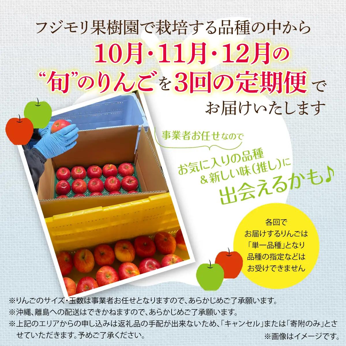 【先行予約】＜10･11･12月お届け＞北海道壮瞥町　旬のりんご約3kg　おまかせ定期便 SBTF031