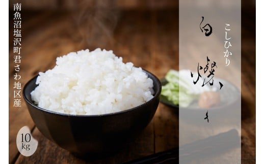 【令和7年産新米】南魚沼君沢産こしひかり 白燦々10kg（BL品種）