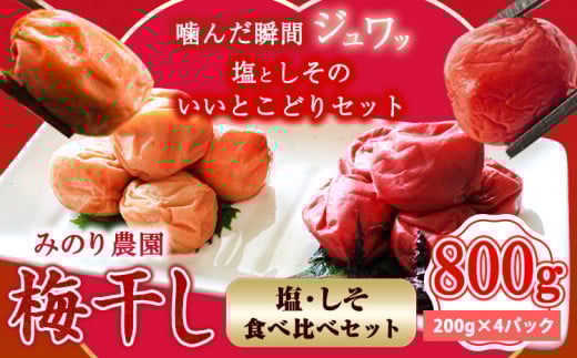 うめぼし(紅白) 800g《30日以内に出荷予定(土日祝除く)》熊本県 葦北郡 津奈木町 梅 梅干し 天日干し みのり農園