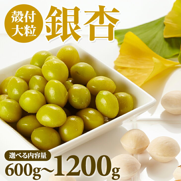 【ふるさと納税】【先行予約】 大粒 銀杏 殻付き（1,200g / 600g ） ぎんなん 季節 旬の食材 秋の味覚 おつまみ レンチン【B110-031】