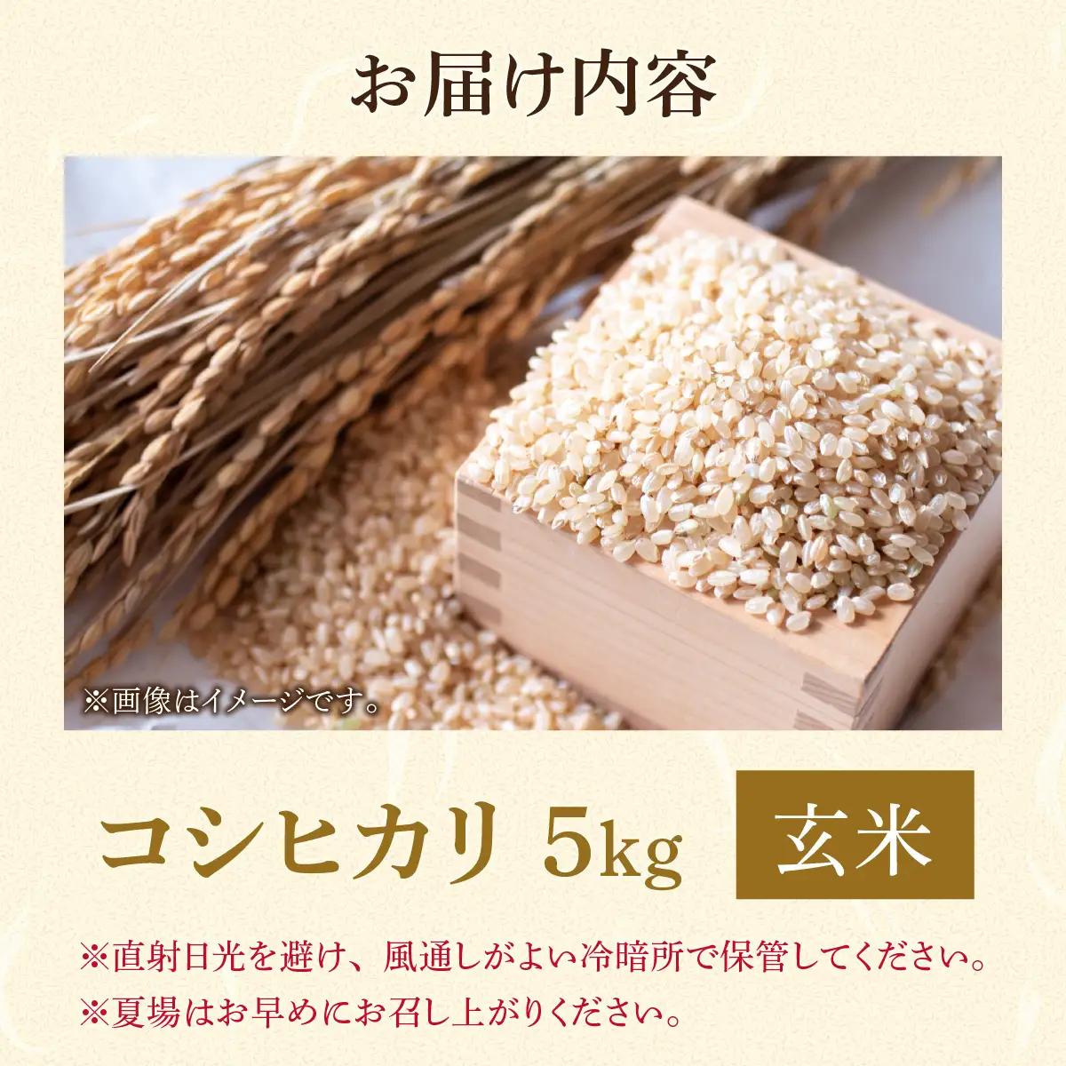 米 コシヒカリ 勝山市産 田中さんち 玄米 5kg [A-080012]