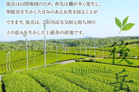 078-02 芳香園の飲み比べバラエティーセット