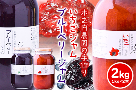手作り いちご ジャム ブルーベリー ジャム 1kg×2本|木之内農園