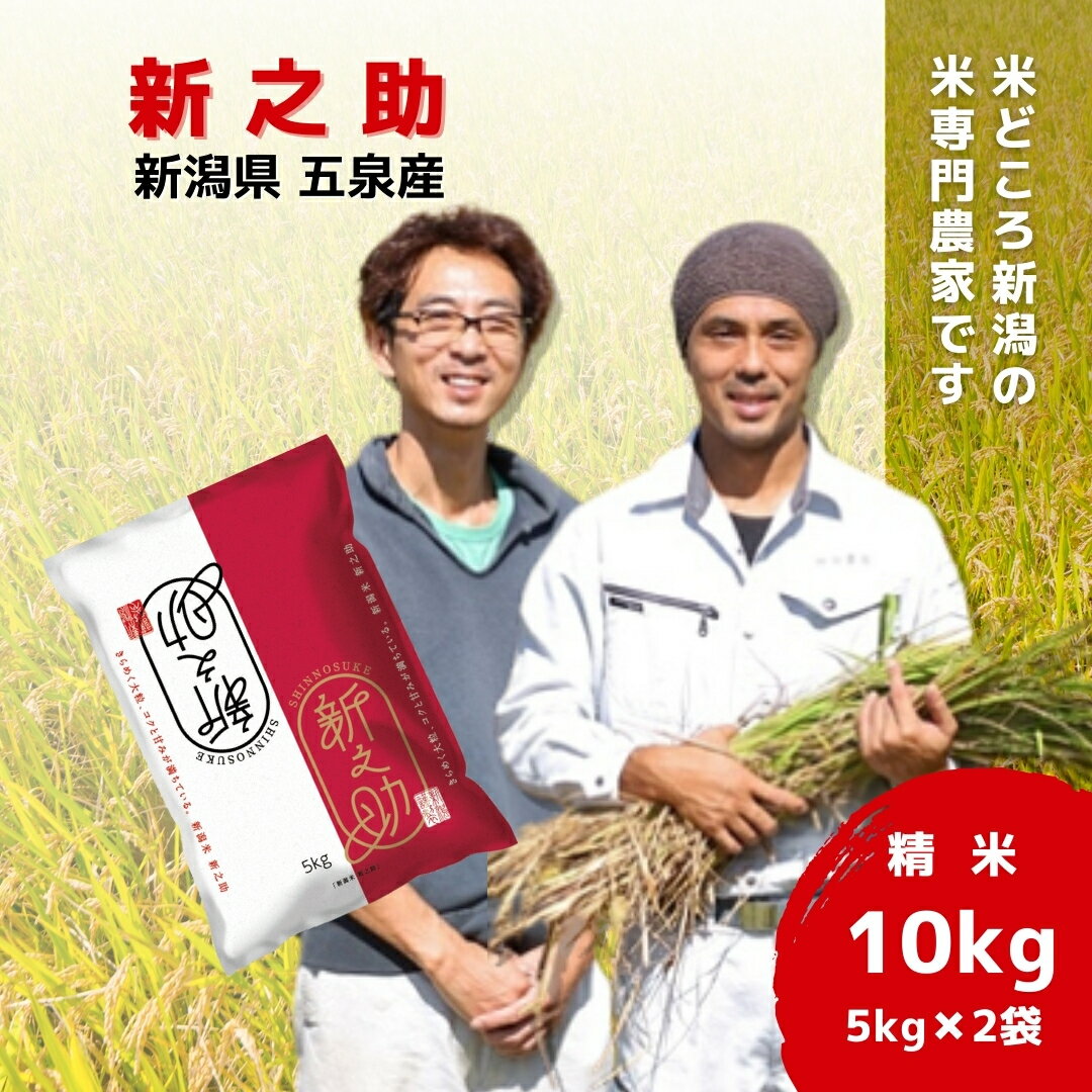 【ふるさと納税】 令和7年産 新米 米 10kg ( 5kg × 2袋 ) 五泉産 新之助 選べる回数 | 白米 精米 しんのすけ お米 おこめ コメ こめ 新潟県 五泉市 わくわく農場