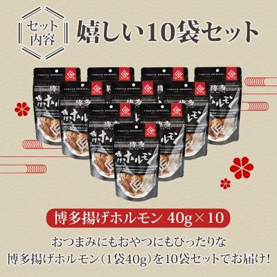 ふるさと納税 古賀市 博多揚げホルモン(10袋セット) |  | 01