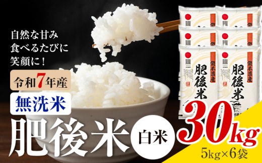 熊本県産 肥後米 無洗米 白米 30kg 1袋5kg 米 お米 令和7年産 九州産 熊本県産 送料無料【30日以内に出荷予定（土日祝除く）】 無洗米 白米 米