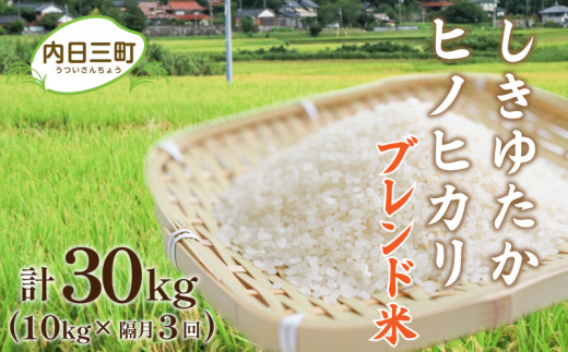 【令和7年産】【定期便】 Wブレンド米 10kg 隔月3回 (合計30kg) 山口県産 ブレンド米 銘柄米 数量限定