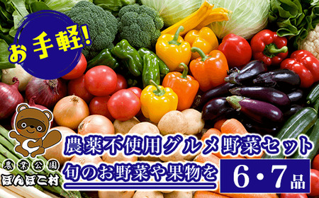 お手軽！農薬不使用グルメ野菜セット【旬のお野菜や果物を6・7品】＜農業公園ぽんぽこ村＞ KAT002
