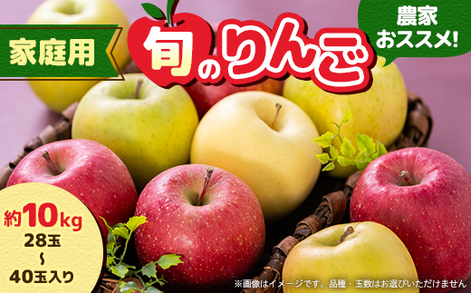 家庭用【2025年8月～9月発送】農家おススメ!旬のりんご約10kg(28玉～40玉入り)(冷蔵)【配送不可地域：離島】