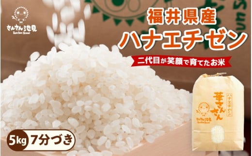 【先行予約】【令和7年産・新米】ハナエチゼン 5kg 華越前 ～坂井市三国町産・こだわりの精米対応～（7分づき）【2025年8月下旬以降順次発送予定】 [A-0255_02]