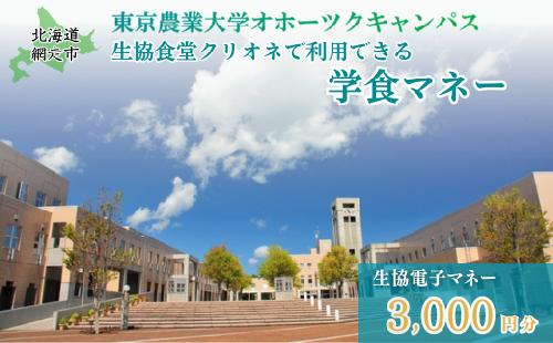 東京農業大学オホーツクキャンパス生協食堂クリオネで利用できる「学食マネー」 3,000円分 ABBF001
