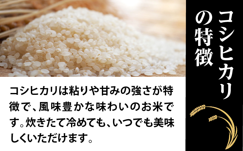  令和六年産特別栽培米 コシヒカリ 5kg お米 コシヒカリ