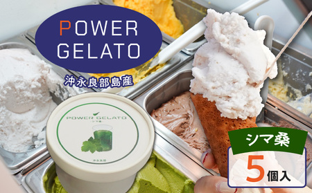 POWER gELATO 沖永良部島産（ シマ桑 ）90ml × 5個入り W066-005-01 冷凍 スイーツ