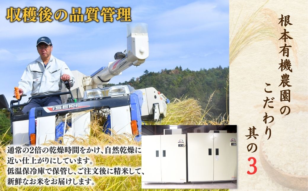 【先行予約】【隔月定期便】JAS有機米 天のつぶ 玄米 5kg×3回 | 令和8年産 根本有機農園 bd005-al