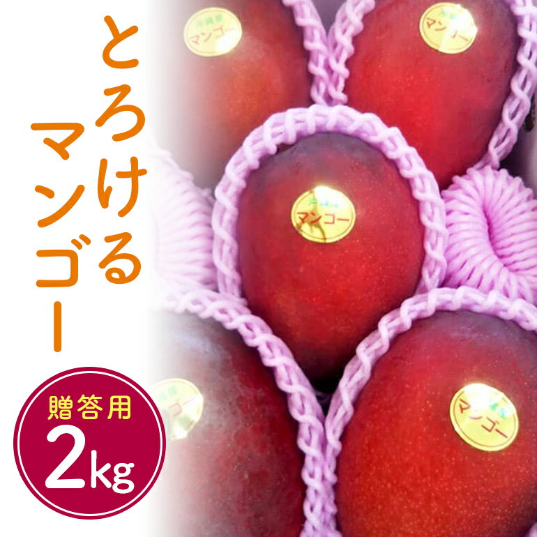 【ふるさと納税】【 先行予約 2025年 発送 】 かねよしマンゴーの甘くとろける マンゴー 2kg ( 贈答用 ) 沖縄県産 アップルマンゴー アーウィンマンゴー 2キロ 国産 完熟マンゴー 果物 くだもの フルーツ 完熟 夏 旬 沖縄 産地直送 農家直送 ギフト 贈答品 糸満市 送料無料