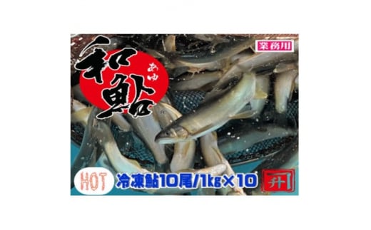 
鮎の養殖産量日本一の愛知県より「とよかわ鮎10kgセット」(バーベキュー用)【1288454】
