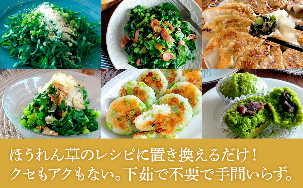 【毎月定期便】やわらかくて食べやすい苦みの少ないケール【静岡県磐田市産 特別栽培】全12回【配送不可地域：離島】