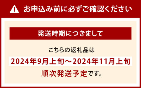 【数量限定】農家直送 シャインマスカット 約1.4kg（2～3房）有機肥料栽培 北九州市若松産 【2024年9月上旬から11月上旬まで発送予定】 果物 フルーツ 旬 新鮮 マスカット 大粒 種なし 冷