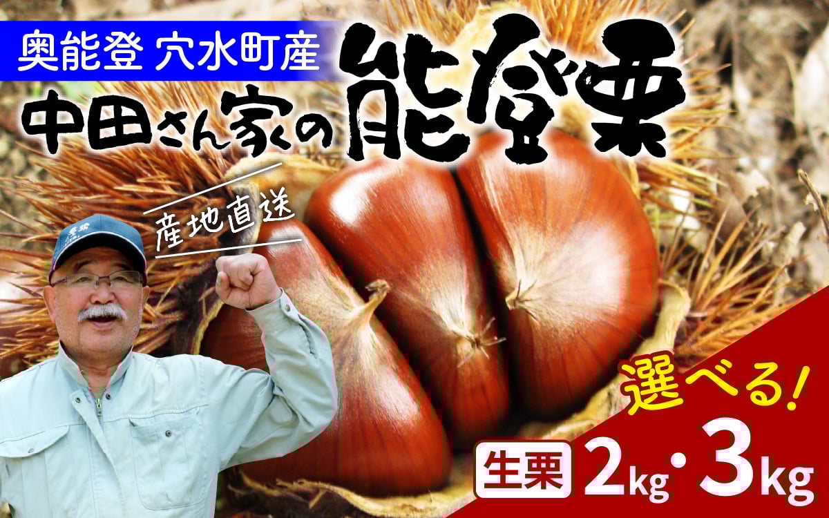
            【先行予約】【容量が選べる】中田農園の能登栗 2kg  or  3kg  ～奥能登の大地で育った能登栗～【2025年9月以降順次発送】 / 能登半島 奥能登 くり 生栗 マロン 和栗 焼き栗 栗ごはん 焼き栗 国産 果物
          