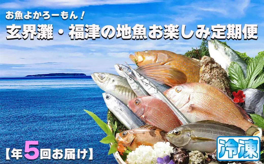 【年5回】お魚よかろうもん！玄界灘・福津の地魚お楽しみ定期便【冷凍】【随時開始】[H7015]