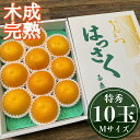 【ふるさと納税】4月 まで 木成 完熟 させた 有田 はっさく 特秀 M × 10玉 化粧箱 南泰園 | 先行予約 和歌山 果物 くだもの フルーツ 柑橘 蜜柑 はっさく 木成り 完熟 特秀 化粧箱 ブランド 取り寄せ ご当地 期間限定