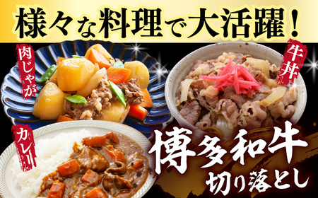 【全12回定期便】【たっぷり大容量！】博多和牛 切り落とし 1000g（500g×2p）《築上町》【株式会社MEAT PLUS】 [ABBP029] おすすめ切り落とし肉 定番切り落とし肉 切り落とし