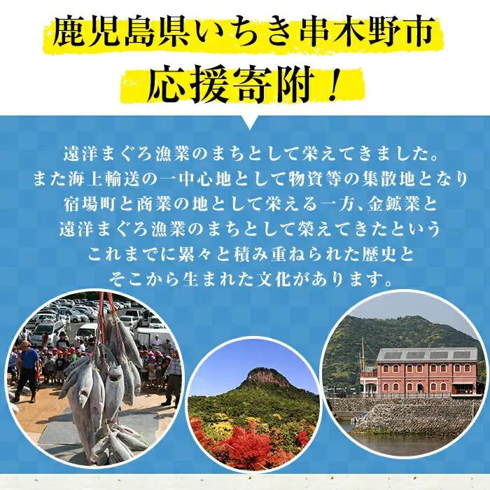 返礼品無し寄附（10,000円分）【Z-003】