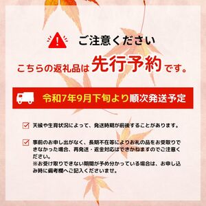 令和5年産 特別栽培米コシヒカリ 2kg×2袋　【 新潟県産 新発田産 コシヒカリ 特別栽培米 しばもん 2kg 2袋 4kg D31 】