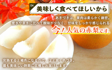 【先行予約】上野梨園のあきづき梨 5㎏箱入り（8～12玉入） / 梨園直送【上野の梨】 / 期間限定 果物 フルーツ 農家直送 シャキシャキ もぎたて 旬 お取り寄せ ※2025年9月下旬より順次発送