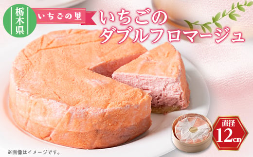 いちごのダブルフロマージュ　1個(直径12㎝)【1443420】