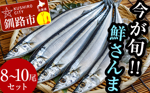 今が旬!!（鮮度抜群!!釧路産） 鮮さんま 8～10尾 さんま 秋刀魚 サンマ 新鮮 魚 鮮魚 海産物 旬 産地直送 北海道 釧路 _F4F-0606