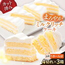 【ふるさと納税】ドルチェケーキ ミルクリッチ ケーキ 計12個（4個×3箱）カットケーキ デザート スイーツ ミルクケーキ 洋菓子【ファミール製菓株式会社】[AKCI017]