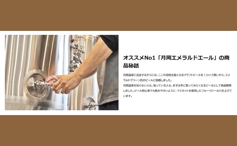 クラフトビール 飲み比べ 350ml 6本セット 2種 エール IPA エメラルドエール 月の果実IPA 6本 6缶 セット 月岡ブルワリー 月岡 ブルワリー 拘り 綺麗 きれい キレイ ビール 地ビ
