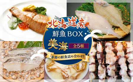 【中身は届いてからのお楽しみ】お魚お楽しみBOX 美海(5種） 