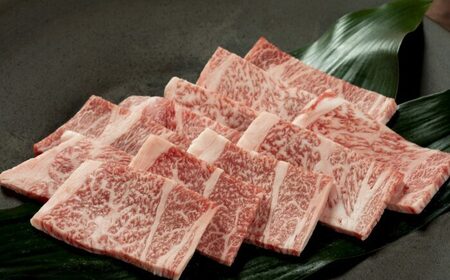 土佐あかうし 焼肉用（カタロース）約400g / 贈答用 ジューシーな肩肉 あかうし 土佐 土佐和牛 和牛 牛 肉 お肉 焼肉 冷凍 高知 【高知県食肉センター株式会社】[ATFC031]