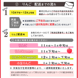 《秀品》りんご 5kg「樹上完熟 ふじりんご」 山形県産 2024年産 令和6年産 【2024年12月頃より順次発送予定】　017-B-NG008