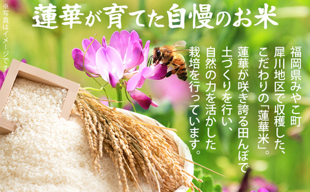 米 5kg 元気つくし【10/1～寄附額改定】 数量限定 こだわりの蓮華米 精米 農家直送 蓮華米 白米 国産米 国産 おにぎり お弁当 福岡県 福岡 九州 グルメ お取り寄せ【10月上旬より順次出荷