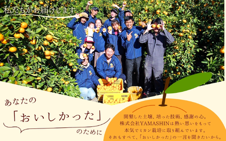 ＼光センサー選別／ 【農家直送】有田みかん 約10kg  大玉3L以上 有機質肥料100% ※2025年12月初旬～12月末に順次発送(お届け日指定不可) / みかん 大玉 蜜柑 有田 柑橘 フルーツ