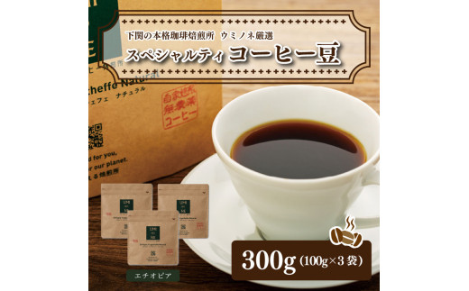 
スペシャルティ コーヒー豆セット エチオピア 300g(100g×3袋) 下関市 山口
