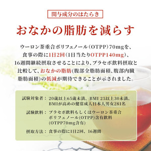 定期便 2ヶ月 サントリー烏龍茶OTPP（機能性表示食品）2L×6本 2箱 ペットボトル