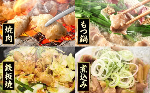 あか牛 白ホルモン 3kg 6ヶ月定期便 五右衛門フーズ 《お申込み月の翌月から出荷開始》 熊本県 球磨郡 山江村 牛肉 肉 国産 熊本県産 ブランド牛 絶品 贅沢 高級 あか牛 ホルモン もつ モツ