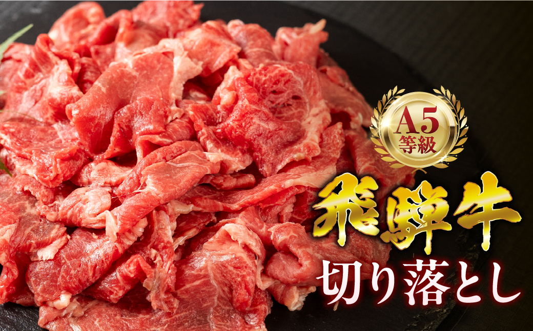 飛騨牛 A5 700g ちょっと良い 切り落とし 牛肉 和牛