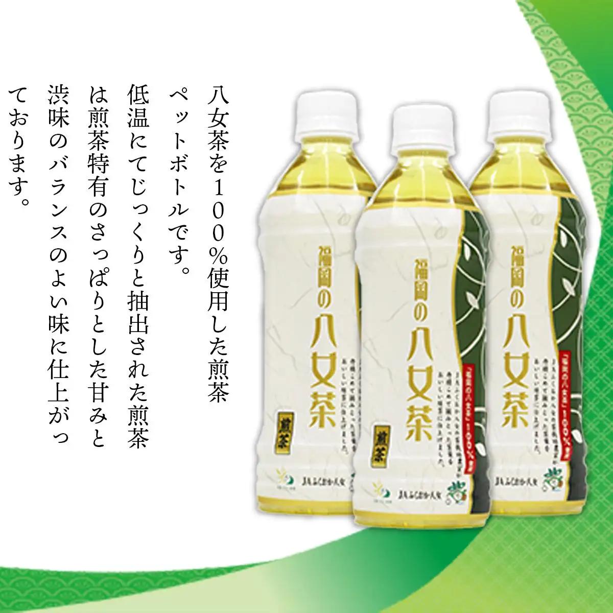 福岡の八女茶 煎茶ペットボトル(500ml)×24本 CZ001 
